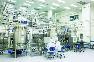 셀트리온 공정개발 셀트리온 자소서 합격 면접 합격